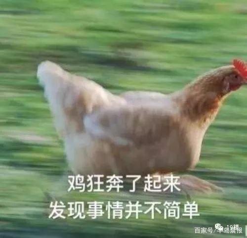 地鐵安檢不允許帶活雞，大媽接下來的行為，把地鐵的小姐姐嚇壞了
